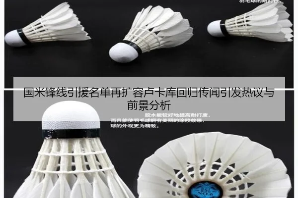 国米锋线引援名单再扩容卢卡库回归传闻引发热议与前景分析