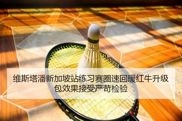 维斯塔潘新加坡站练习赛圈速回暖红牛升级包效果接受严苛检验